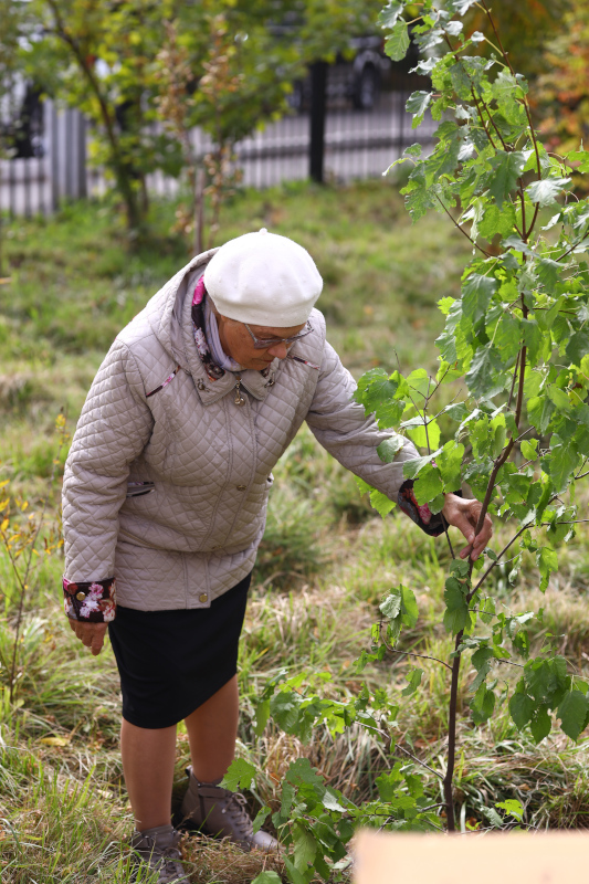 Колледж аумағында Еңбек ардагерлерін еске алу аллеясы құрылды